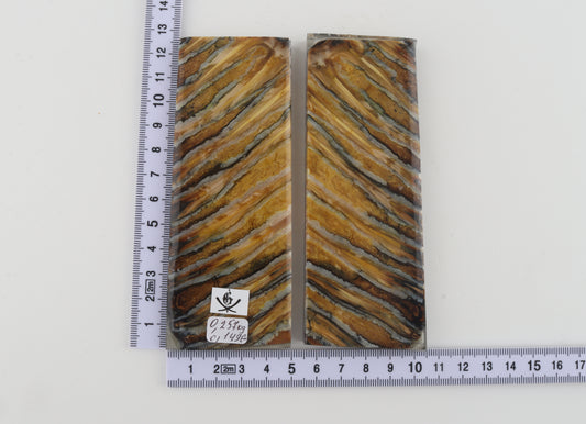 Stabilized mammoth molar scales