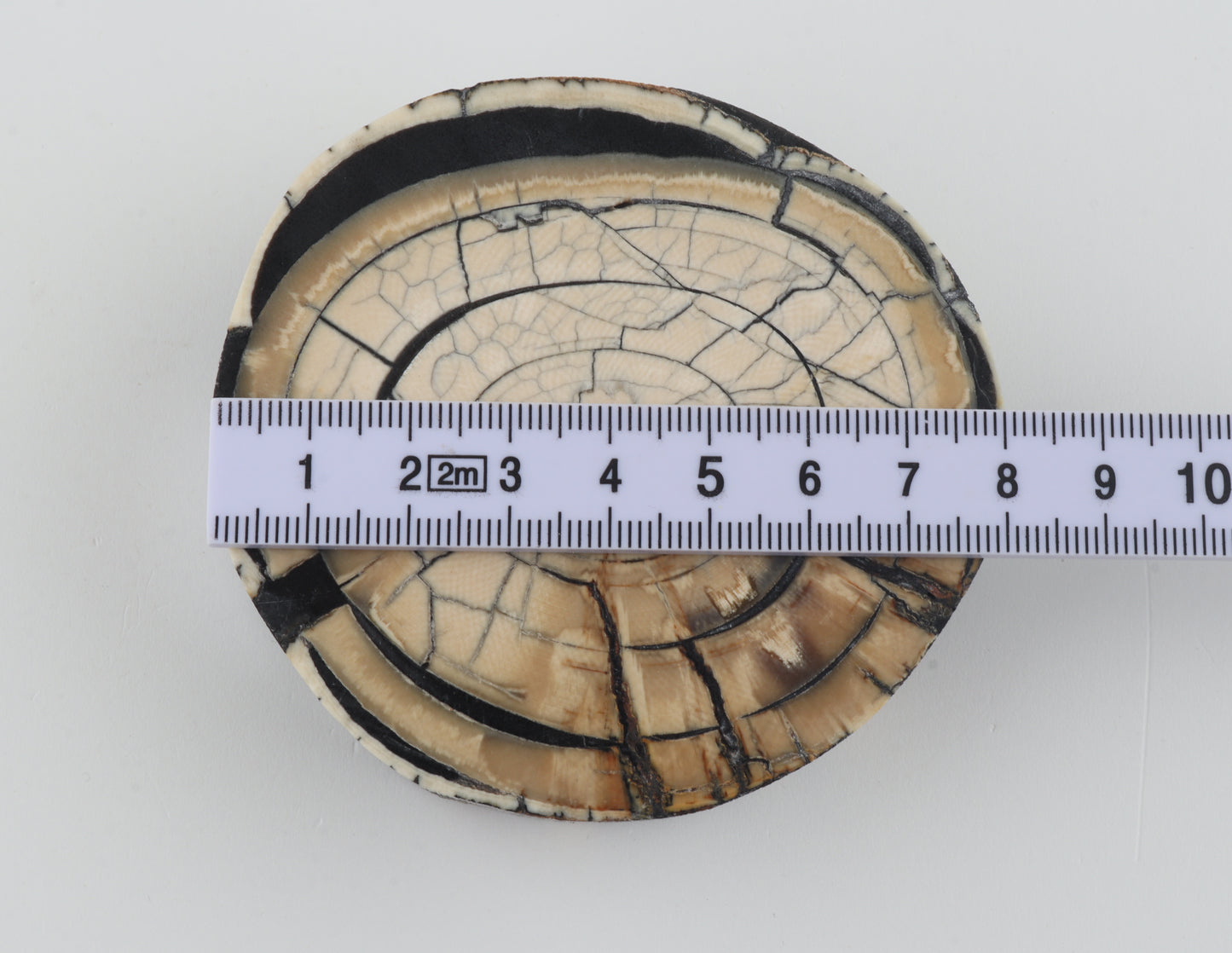 Stabilized mammoth ivory block