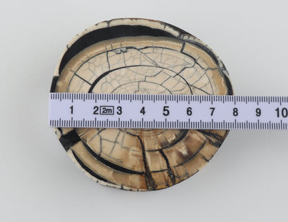 Stabilized mammoth ivory block