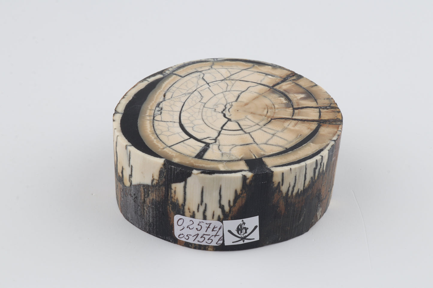 Stabilized mammoth ivory block