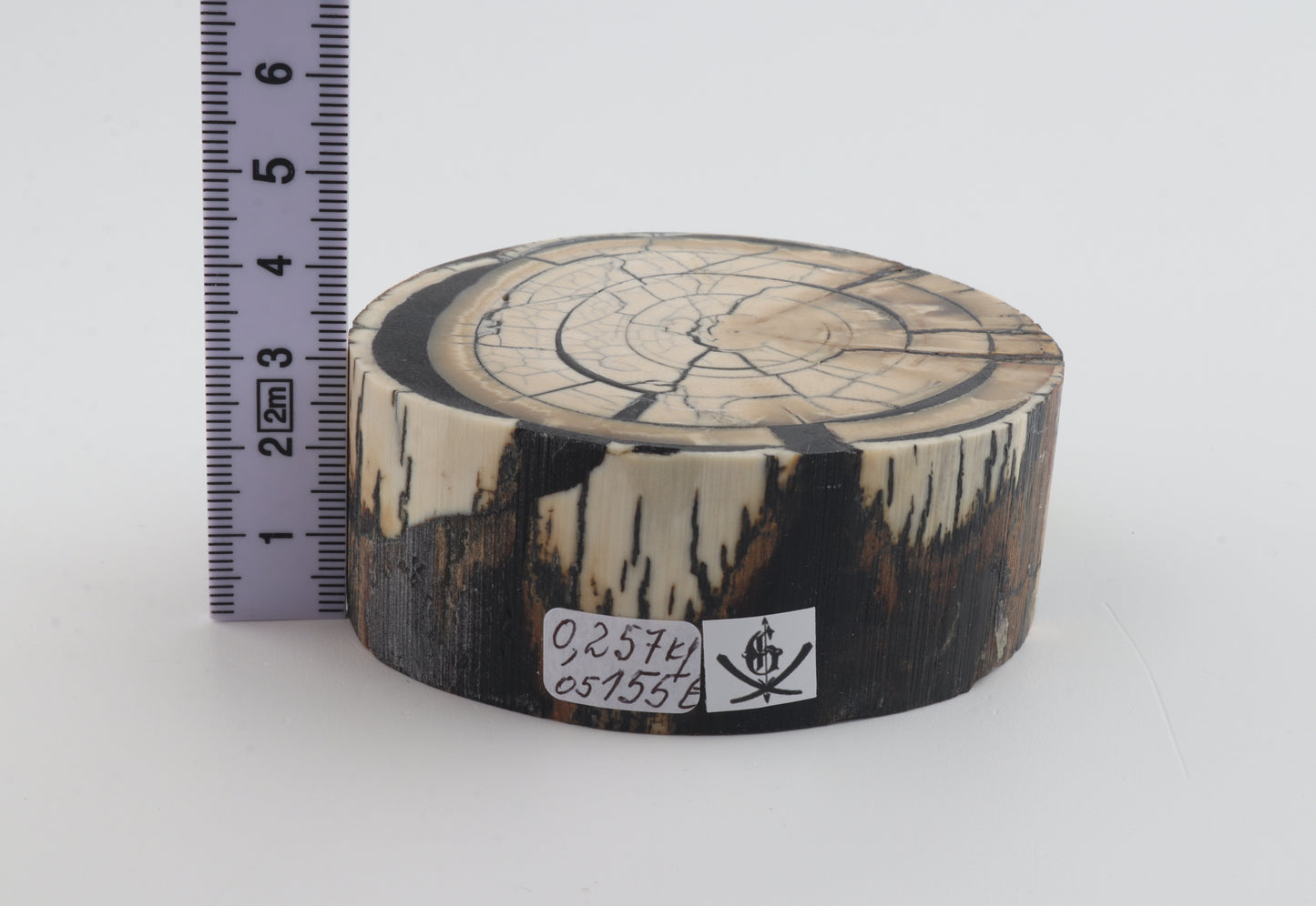 Stabilized mammoth ivory block