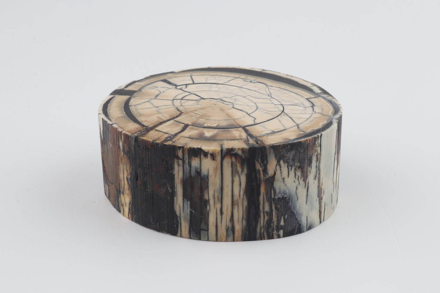Stabilized mammoth ivory block