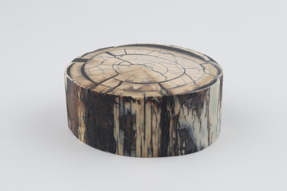 Stabilized mammoth ivory block