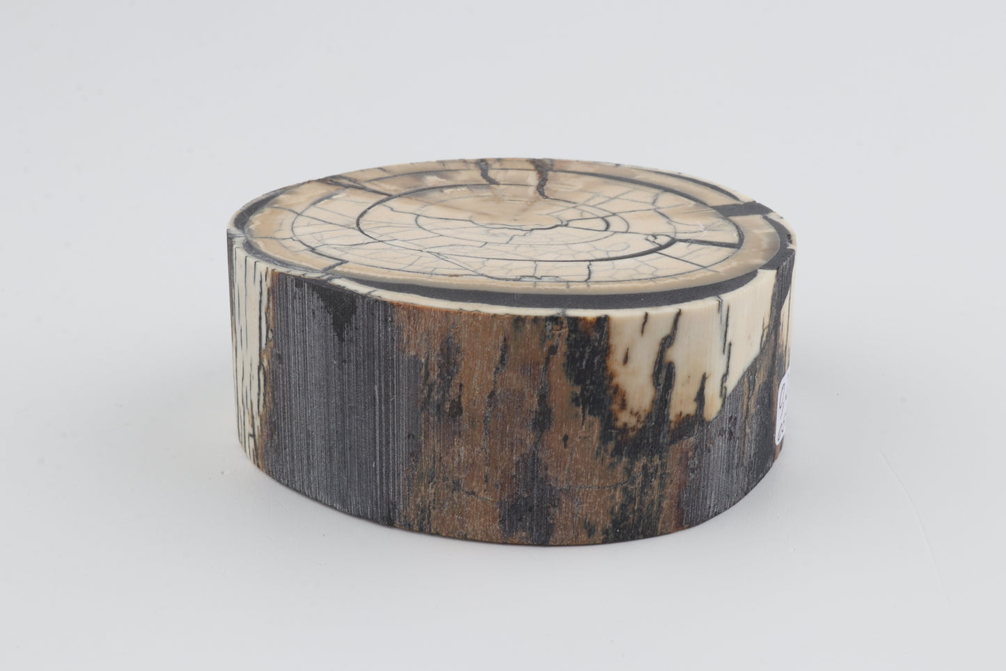 Stabilized mammoth ivory block