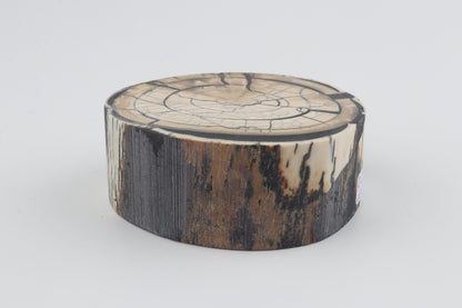 Stabilized mammoth ivory block