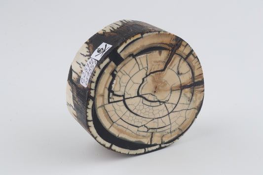 Stabilized mammoth ivory block