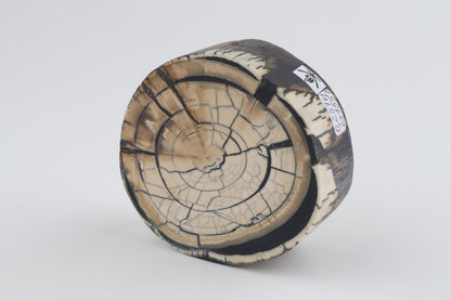 Stabilized mammoth ivory block