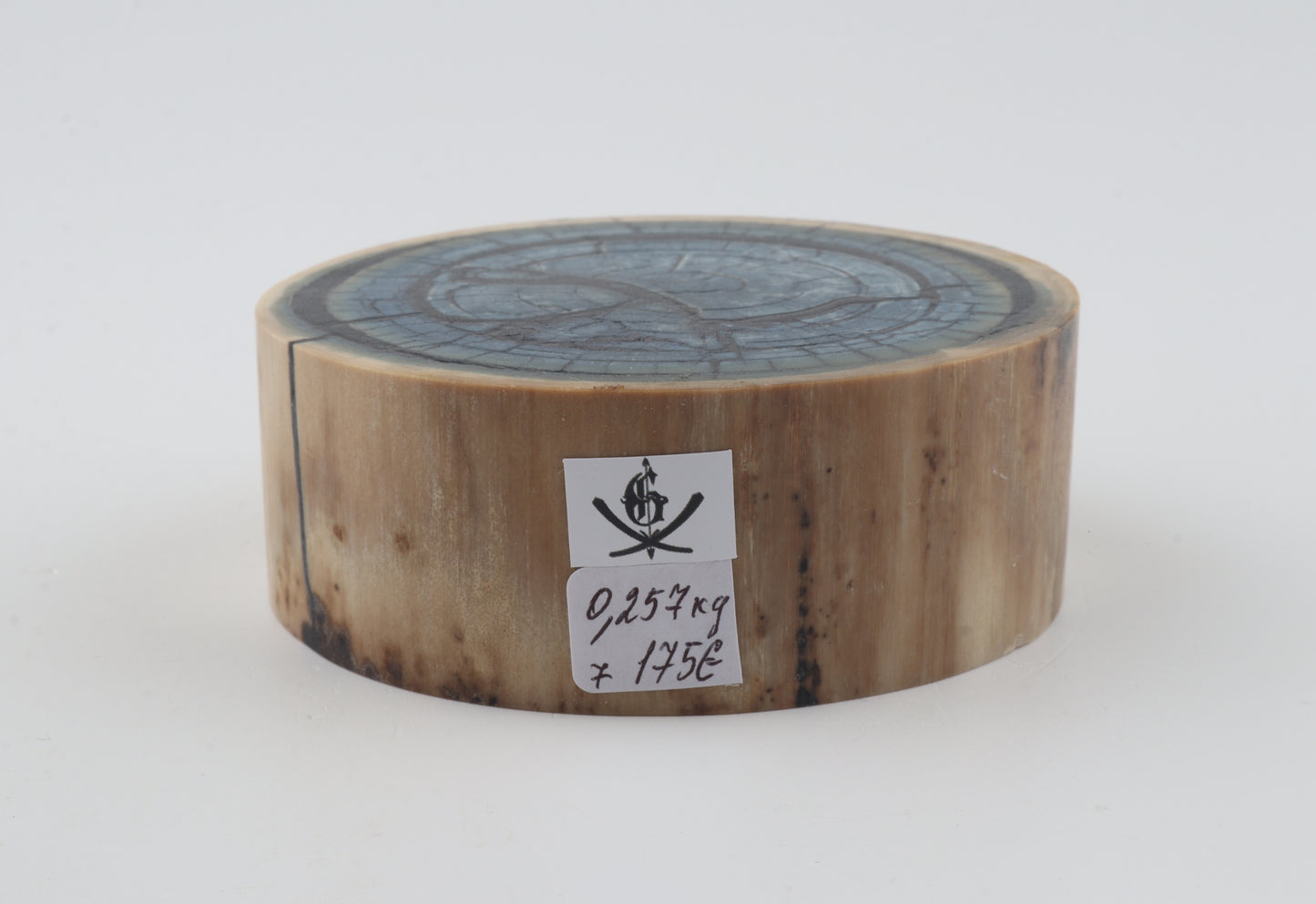Stabilised mammoth ivory piece