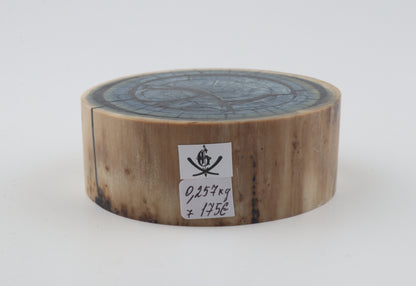 Stabilised mammoth ivory piece