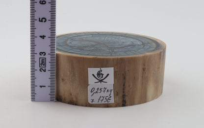 Stabilised mammoth ivory piece