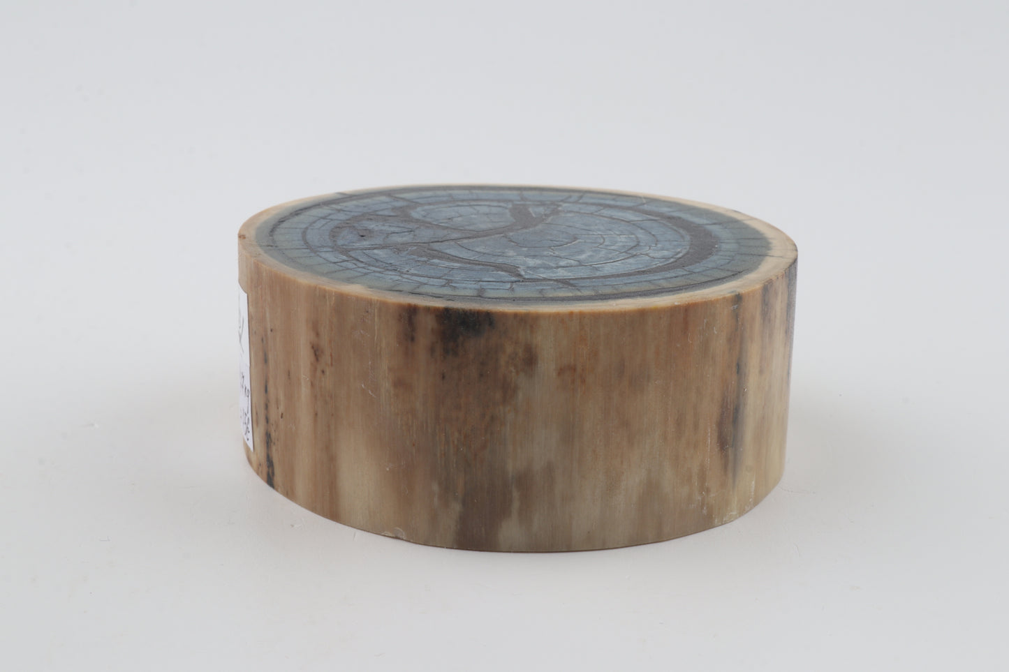 Stabilised mammoth ivory piece