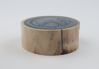 Stabilised mammoth ivory piece
