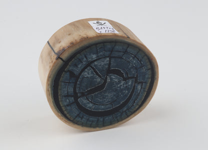 Stabilised mammoth ivory piece