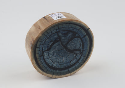 Stabilised mammoth ivory piece