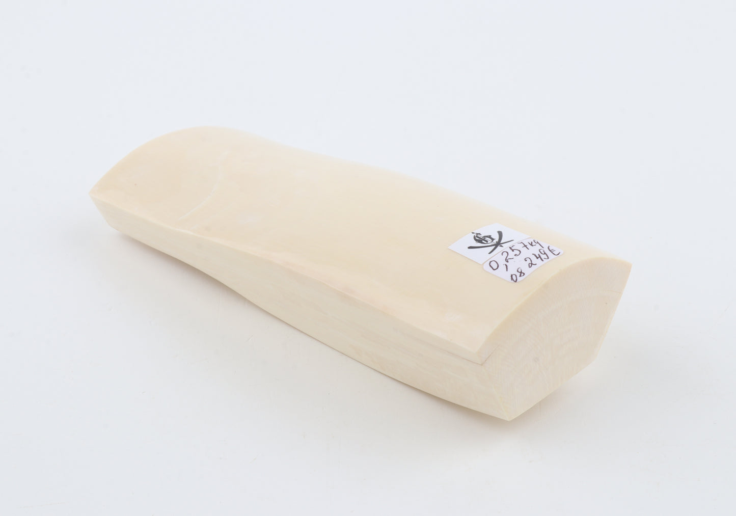 White mammoth ivory segment