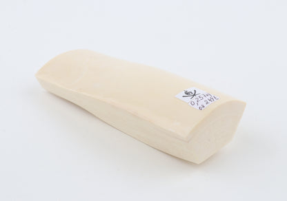 White mammoth ivory segment