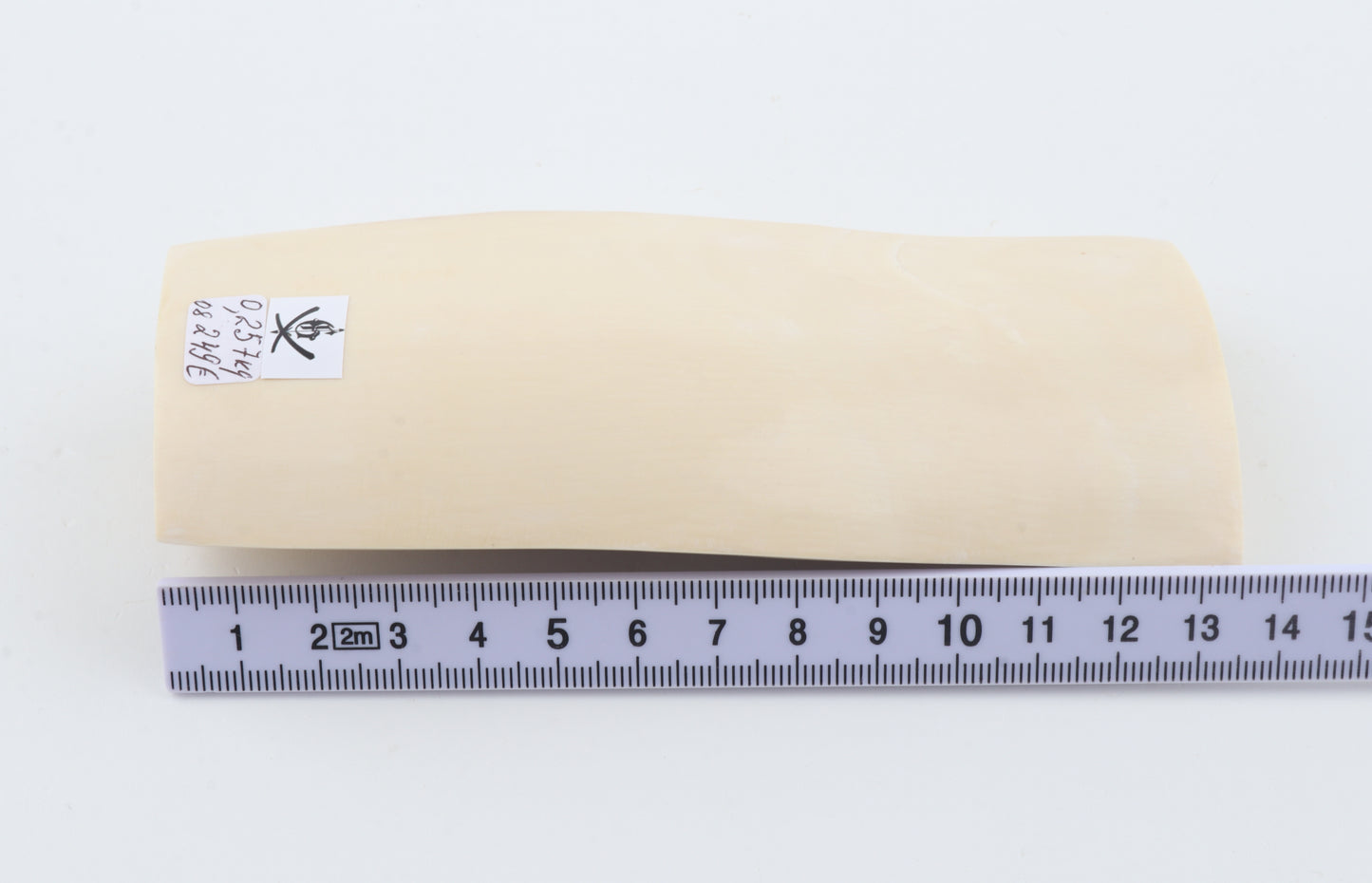 White mammoth ivory segment