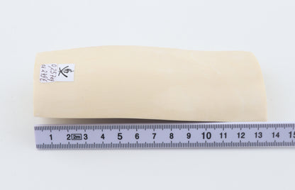 White mammoth ivory segment