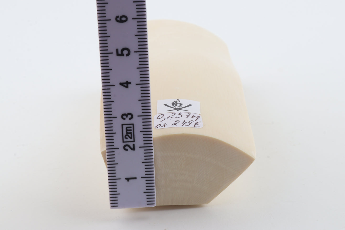 White mammoth ivory segment