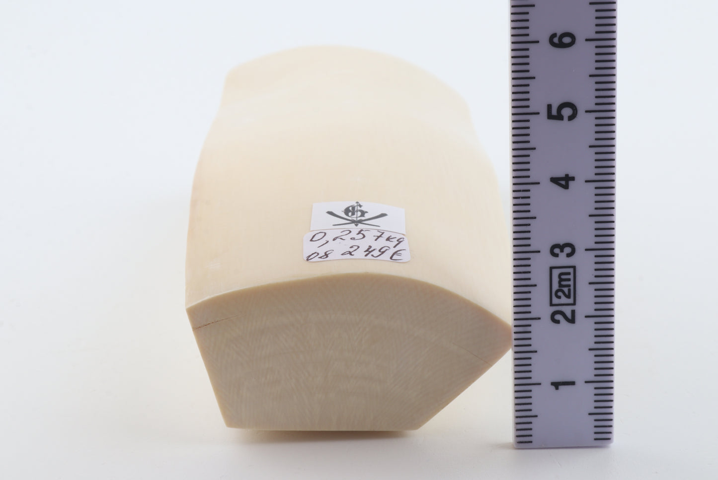 White mammoth ivory segment