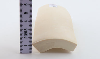 White mammoth ivory segment