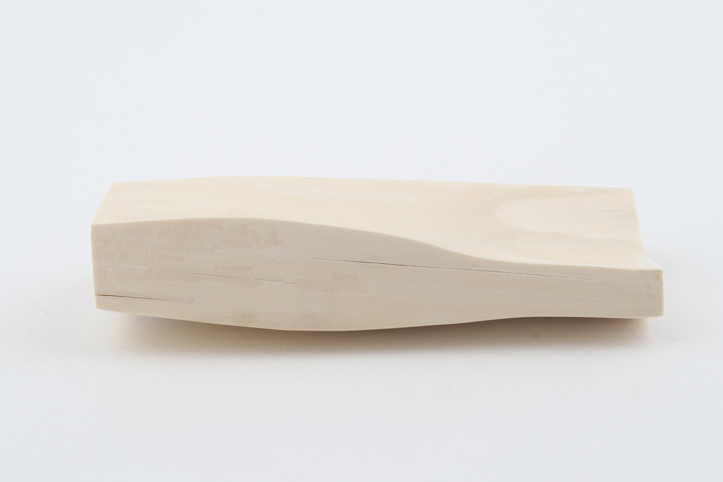White mammoth ivory segment