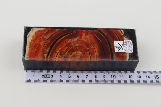 Stabilized mammoth ivory block