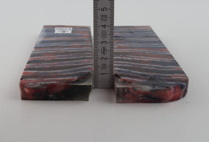 Stabilized mammoth molar scales