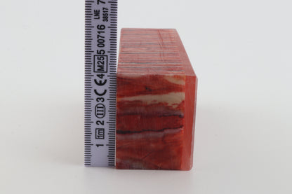 Stabilized mammoth molar block