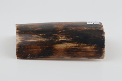 Brown-black mammoth bark