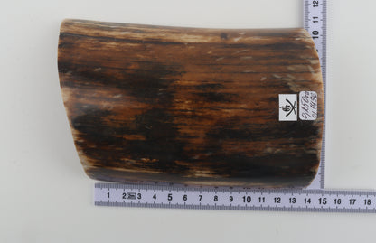 Brown-black mammoth bark