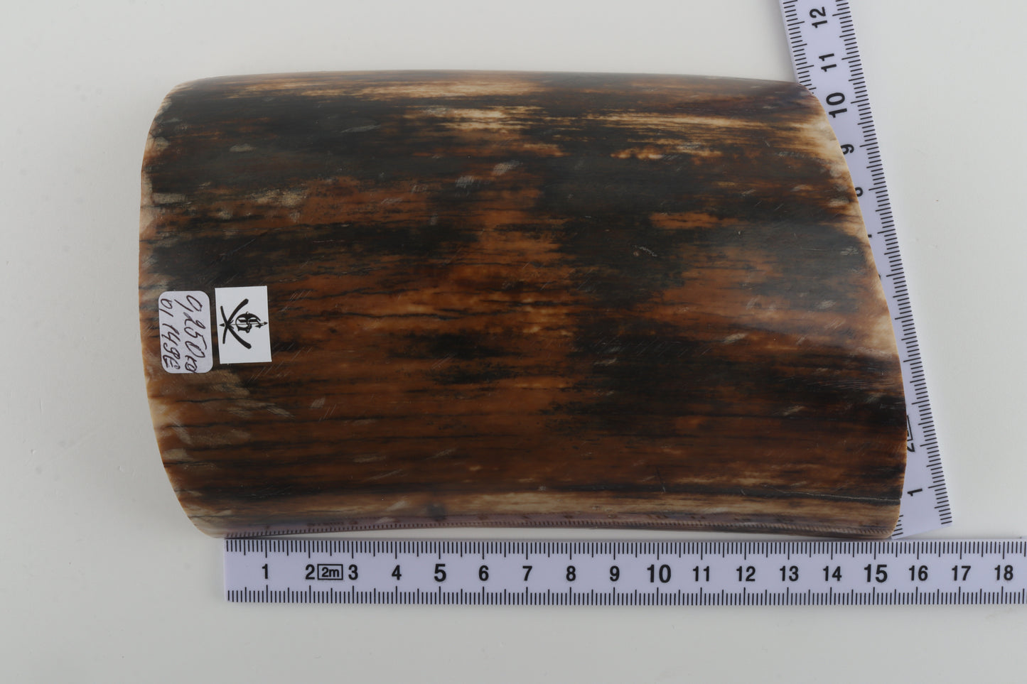 Brown-black mammoth bark