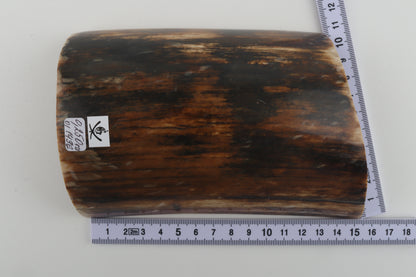 Brown-black mammoth bark