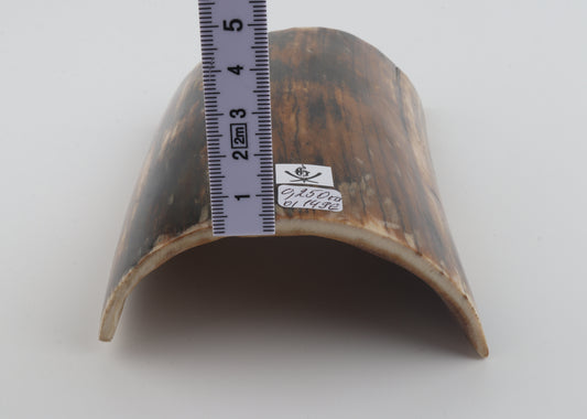 Brown-black mammoth bark