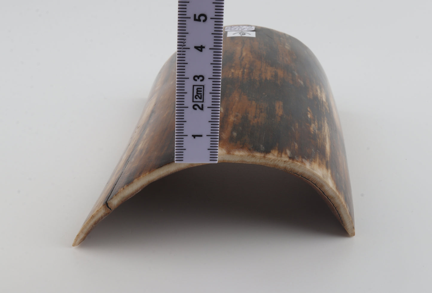 Brown-black mammoth bark