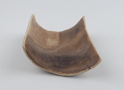 Brown-black mammoth bark