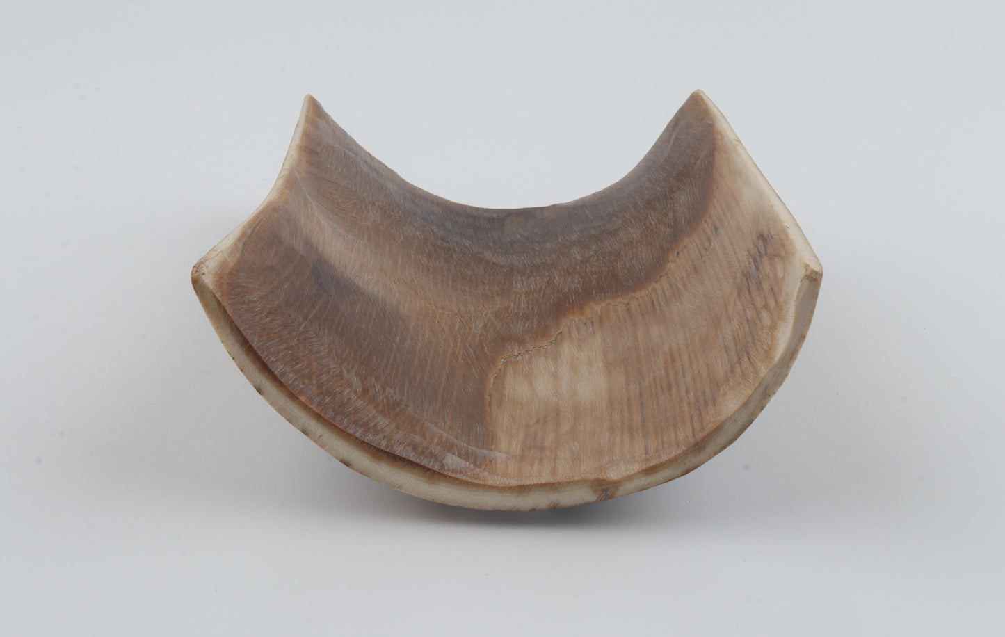 Brown-black mammoth bark