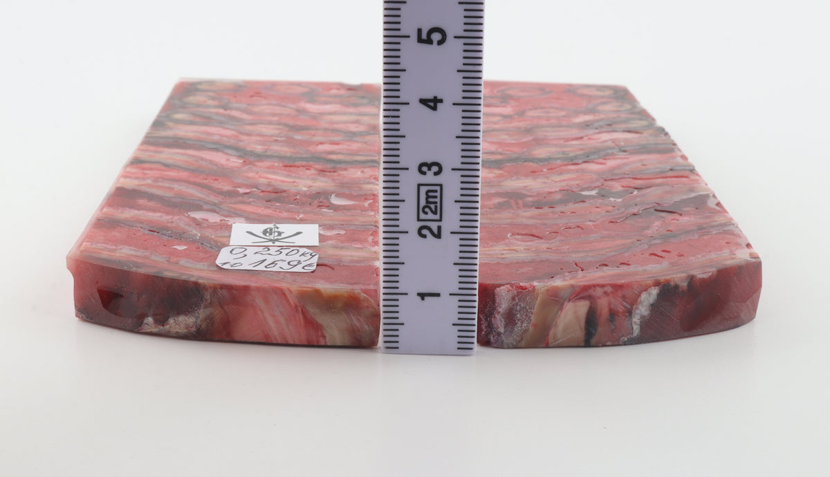 Stabilised mammoth molar scales