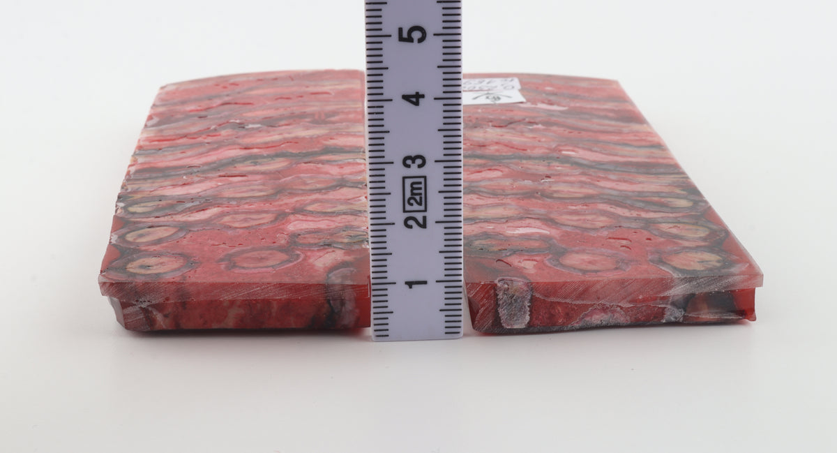 Stabilised mammoth molar scales