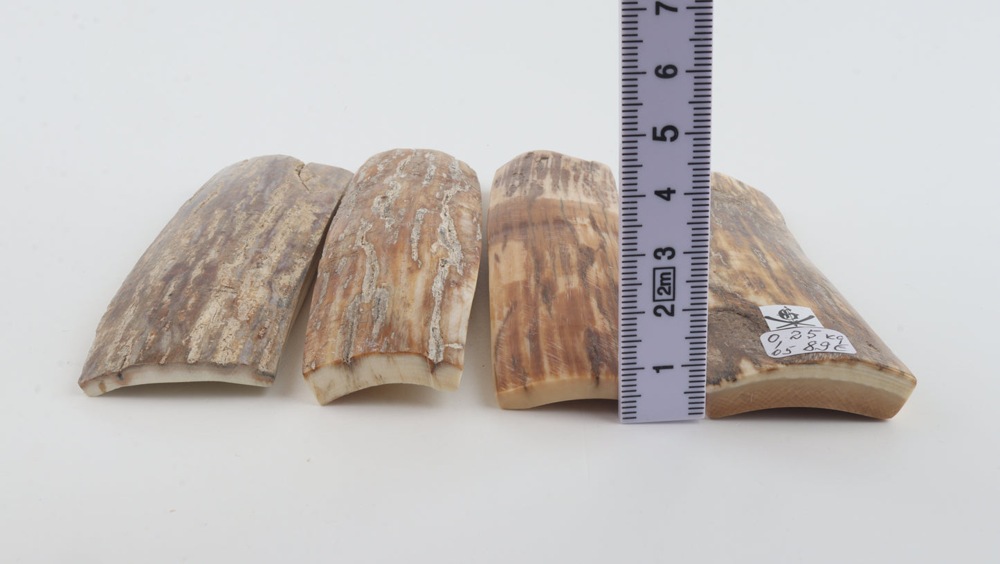 Natural mammoth bark pieces