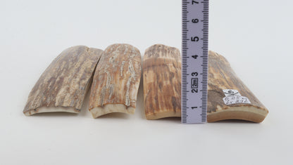 Natural mammoth bark pieces