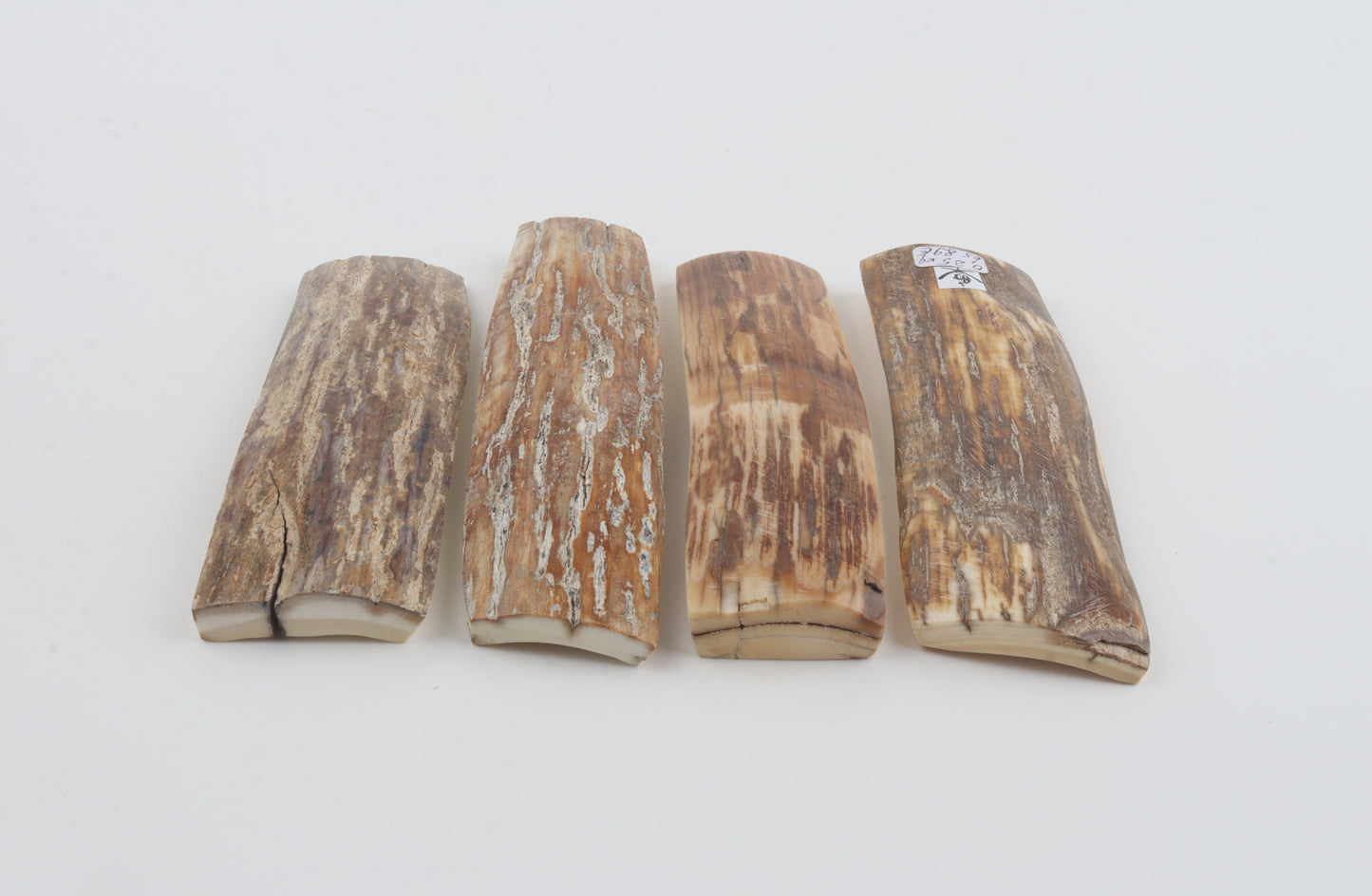 Natural mammoth bark pieces