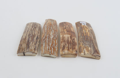 Natural mammoth bark pieces