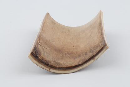 Brown-orange mammoth bark