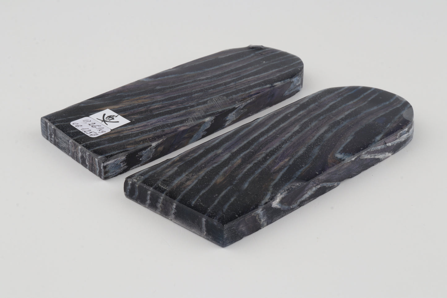 Stabilised mammothj molar scales
