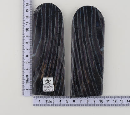 Stabilised mammothj molar scales