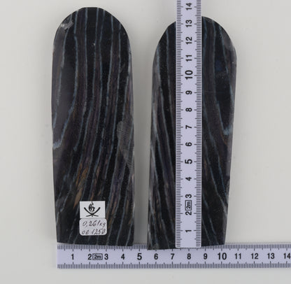 Stabilised mammothj molar scales