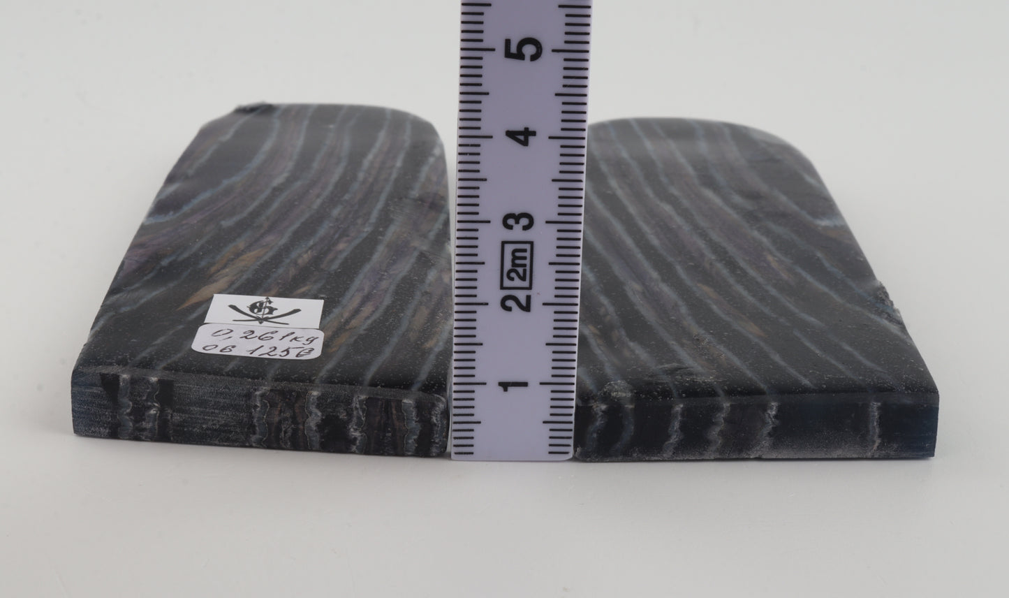 Stabilised mammothj molar scales