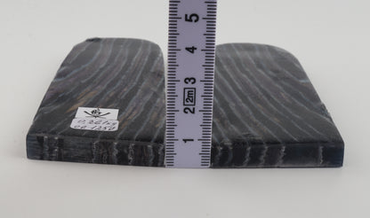 Stabilised mammothj molar scales