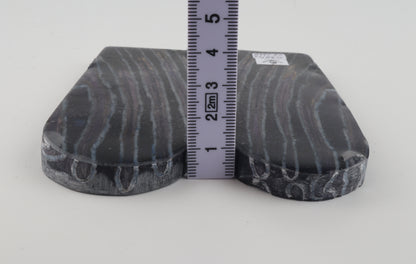 Stabilised mammothj molar scales